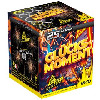 Nico - Glücksmoment