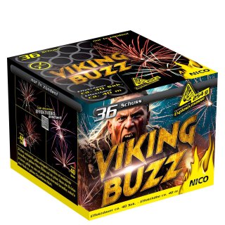 Nico - Viking Buzz