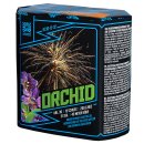 Argento - Orchid