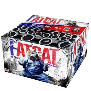 Klasek - Fat Cat