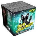 Nico - Der Checker
