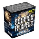 Nico - Popping Flowers